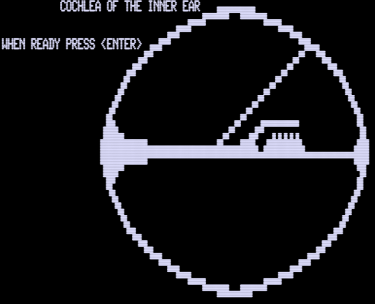 Screen shot